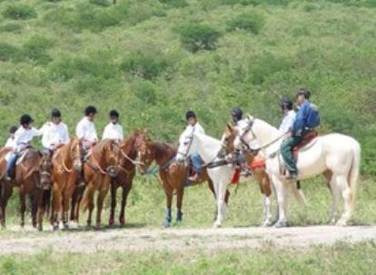 Pousada Fazenda Santa Fe Bezerros Esterno foto