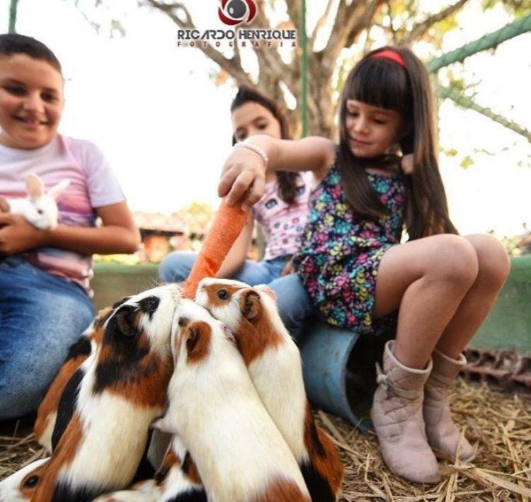Pousada Fazenda Santa Fe Bezerros Esterno foto